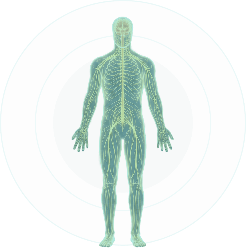 Gianni | Quiropraxia Avançada em Caxias do Sul