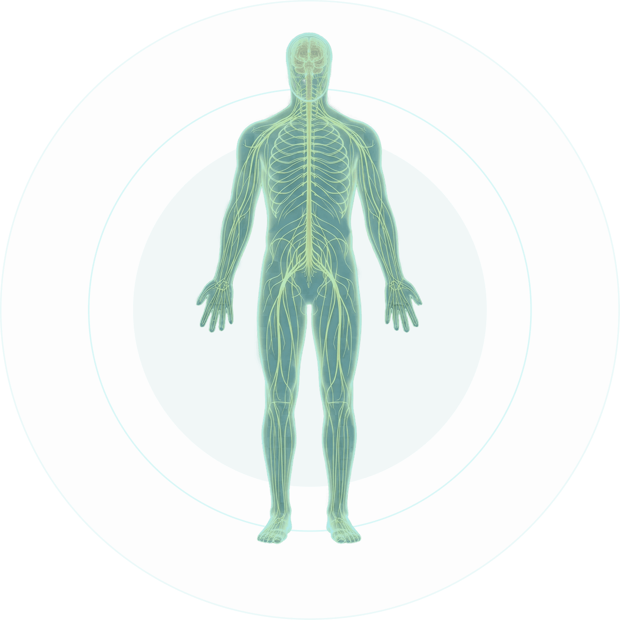 Gianni | Quiropraxia Avançada em Caxias do Sul